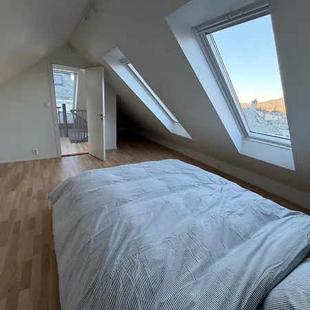 In And Pet Friendly *