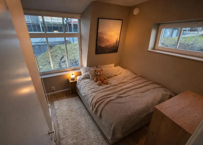 In And Pet Friendly Appartement Bergen